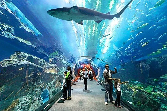 Океанариум Underwater World Pattaya — фото 6