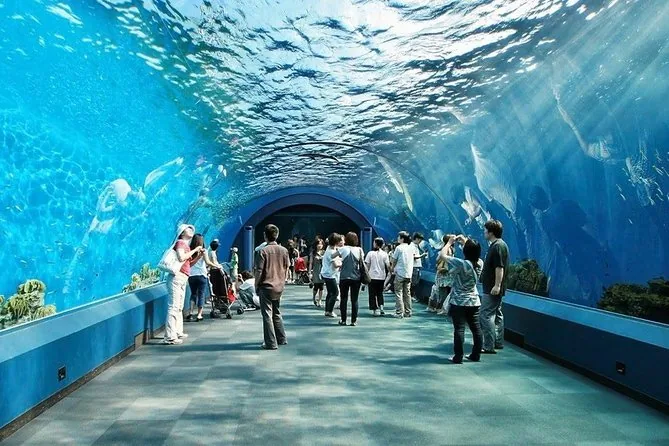 Океанариум Underwater World Pattaya — фото 2