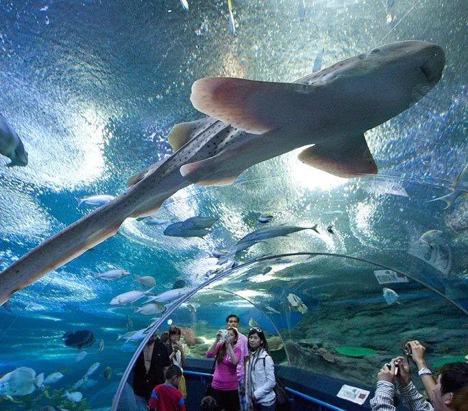 Океанариум Underwater World Pattaya — фото 5