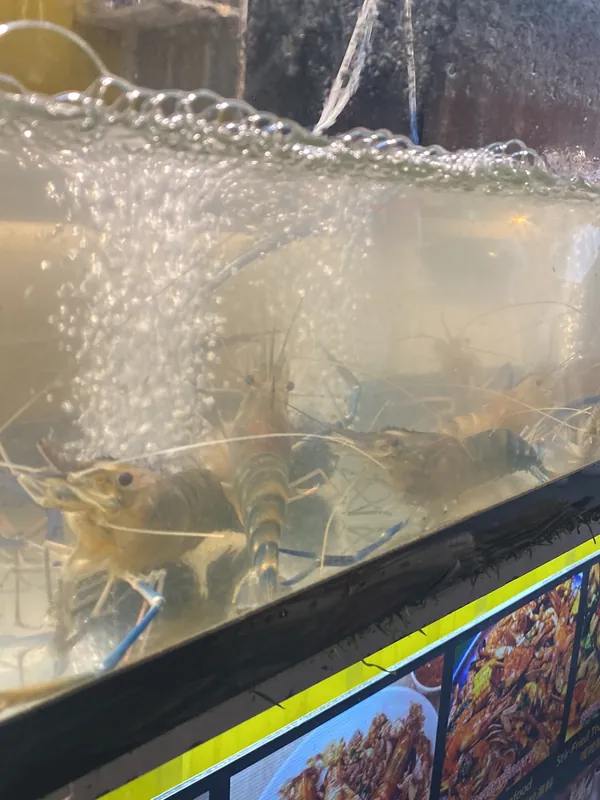 Good Seafood Pattaya в Паттайе — фото 14