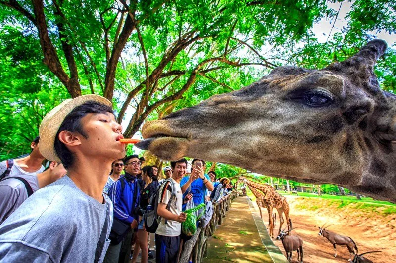 Зоопарк Khao Kheow — фото 3