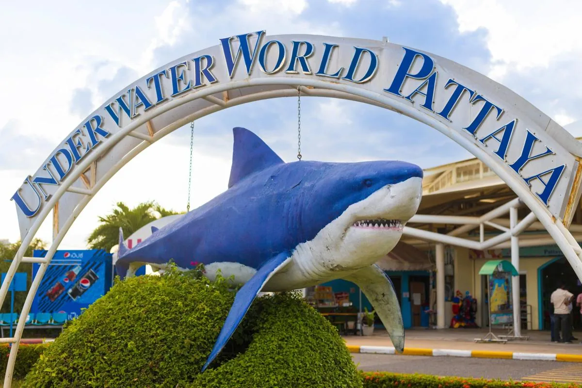 Океанариум Underwater World Pattaya — фото 3