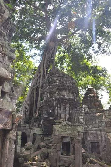 Ангкор Ват в Камбодже — фото экскурсии 44